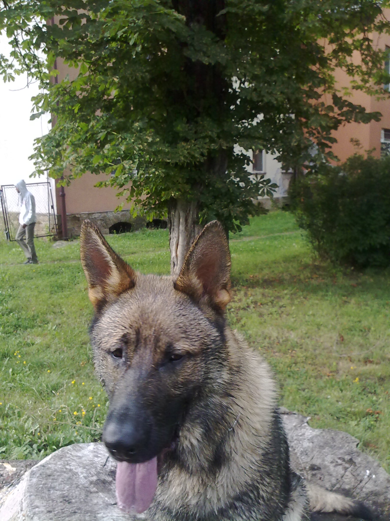 25072010088.jpg