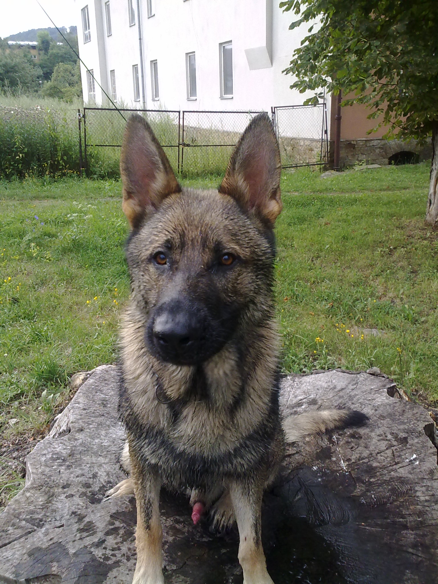25072010093.jpg