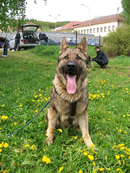 Obrany 8.5.2010 050.jpg