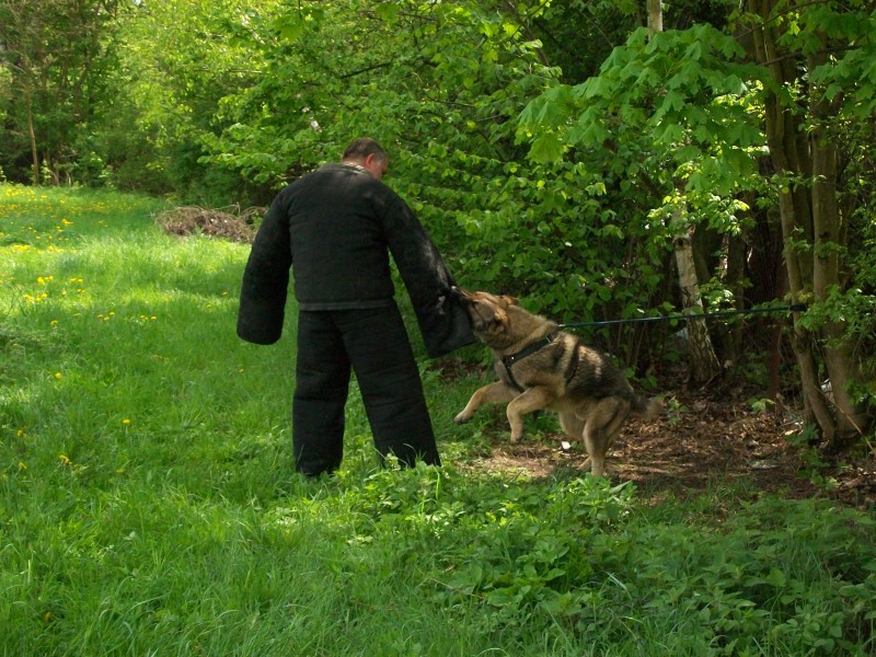 Obrany 8.5.2010 084.jpg