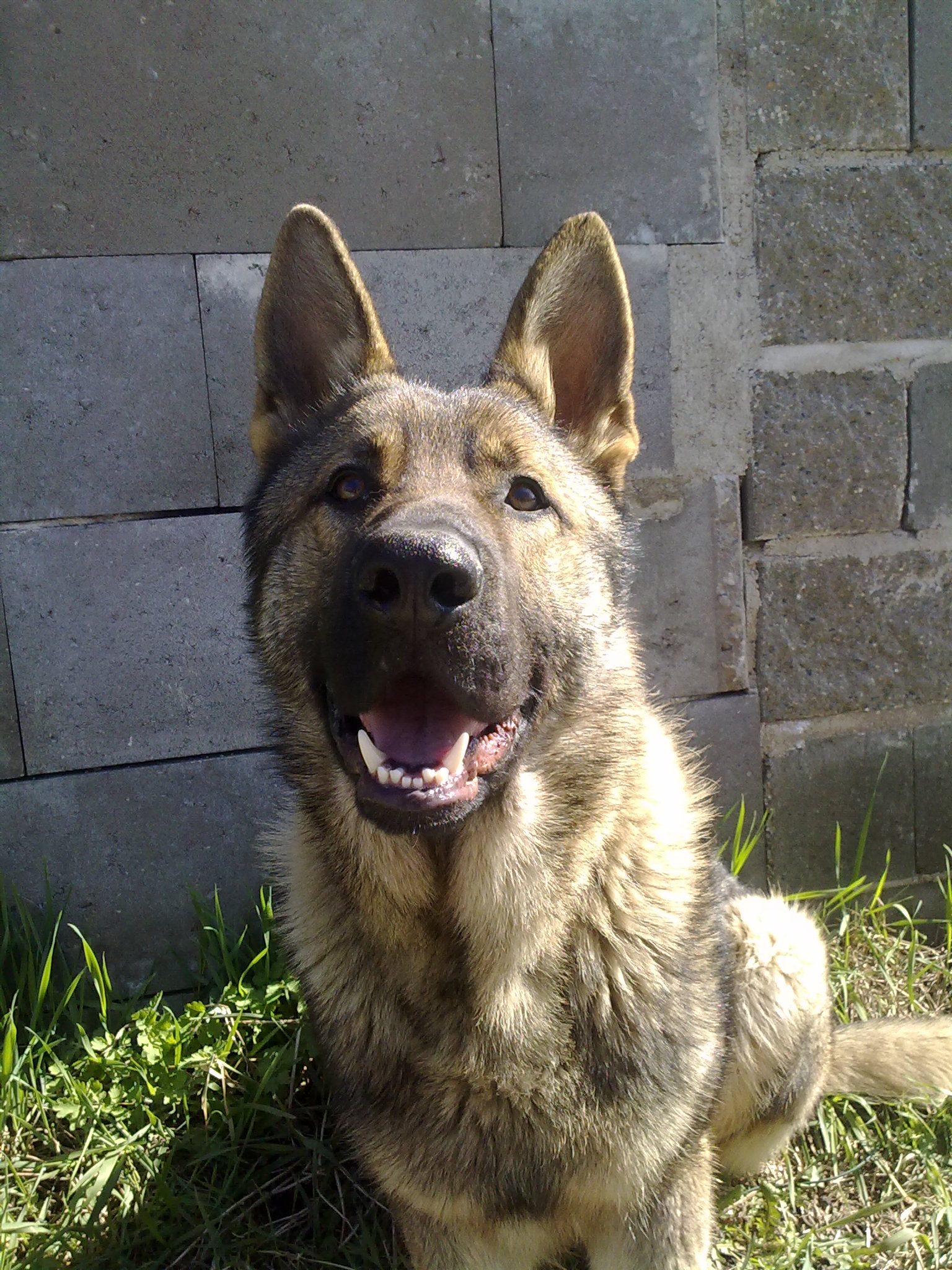 07042010035.jpg