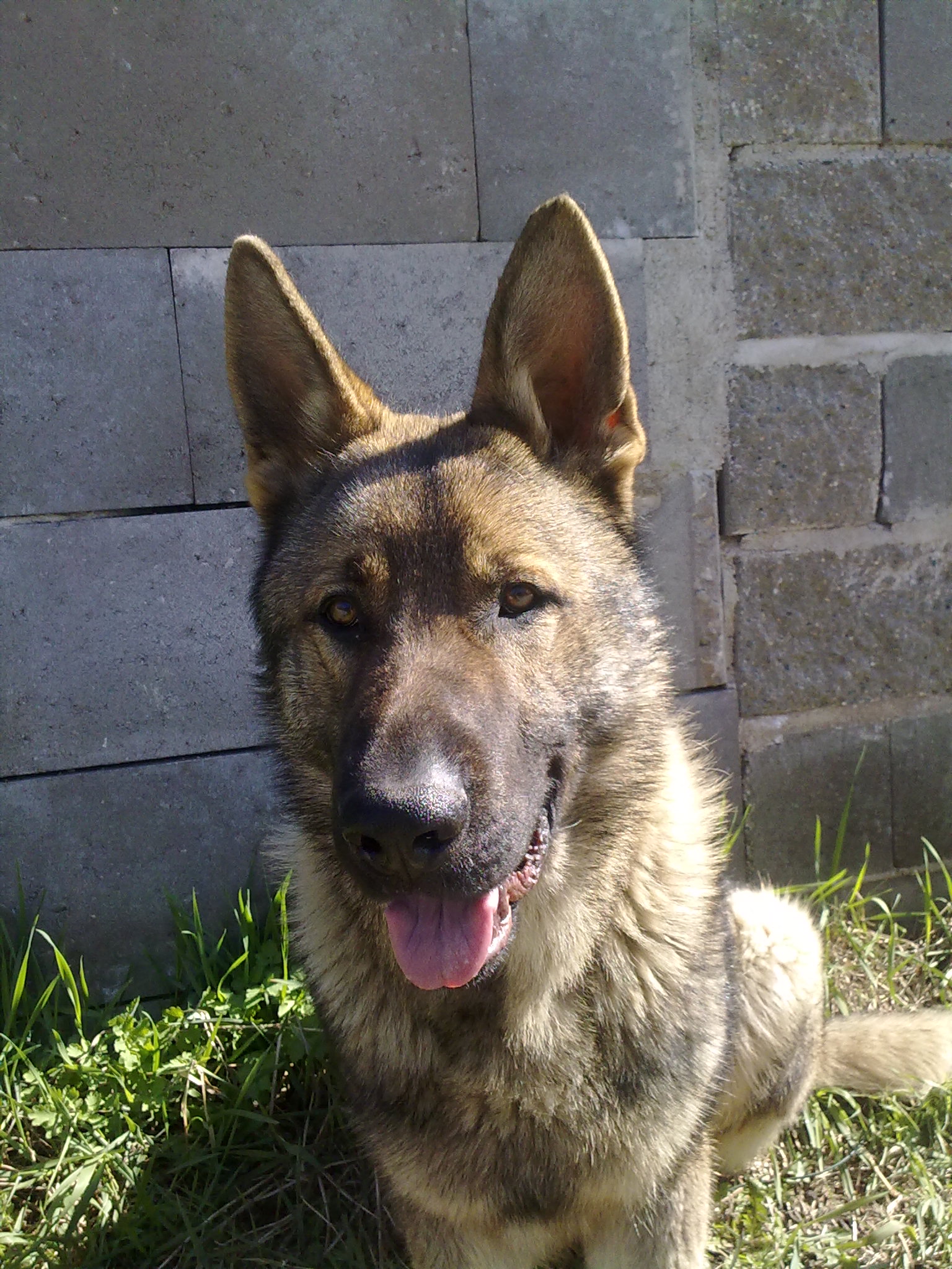 07042010036.jpg