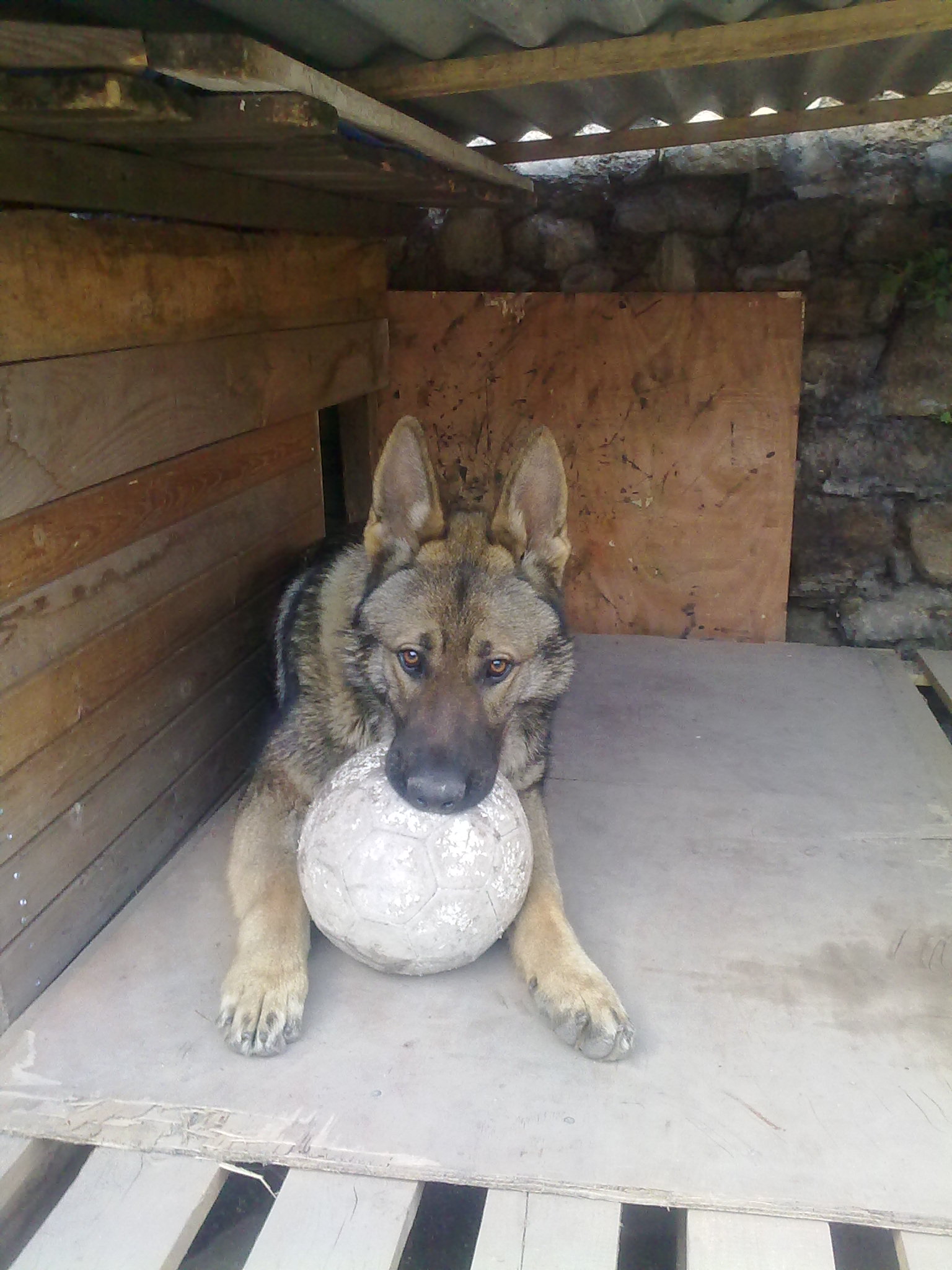 08042010040.jpg