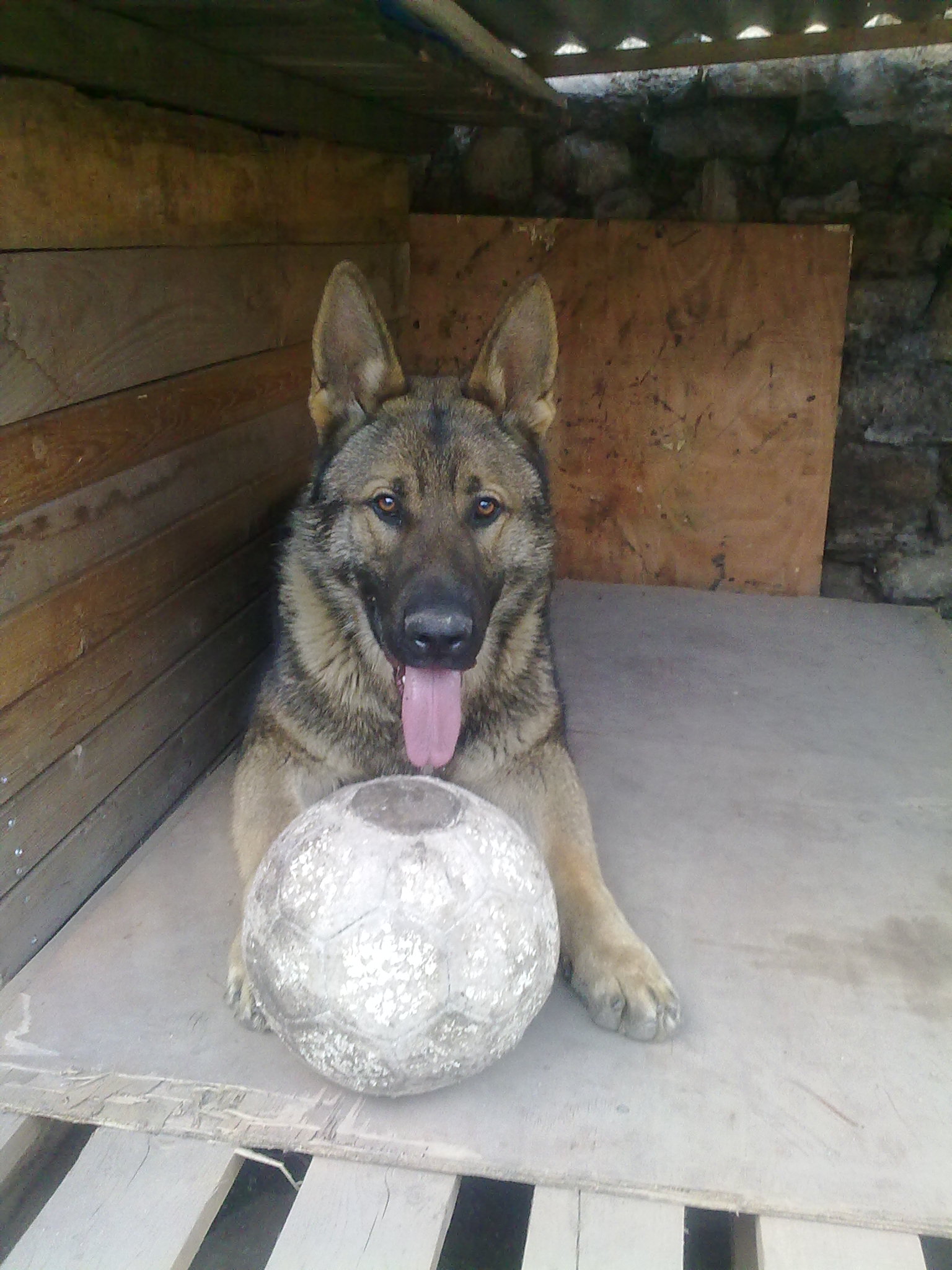 08042010041.jpg