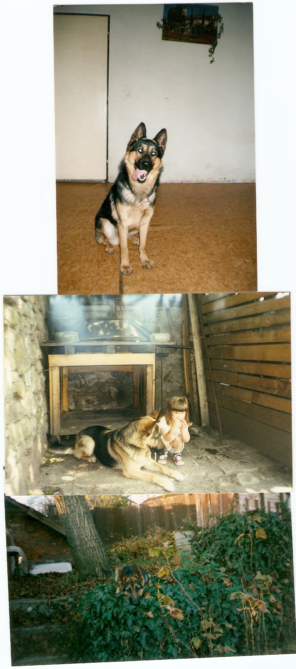 skenovat0006.jpg