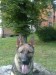 25072010089.jpg