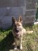 07042010034.jpg