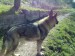 07042010037.jpg