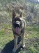 07042010039.jpg