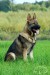 DSC_4391.jpg