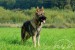 DSC_4403.jpg
