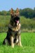 DSC_4411.jpg